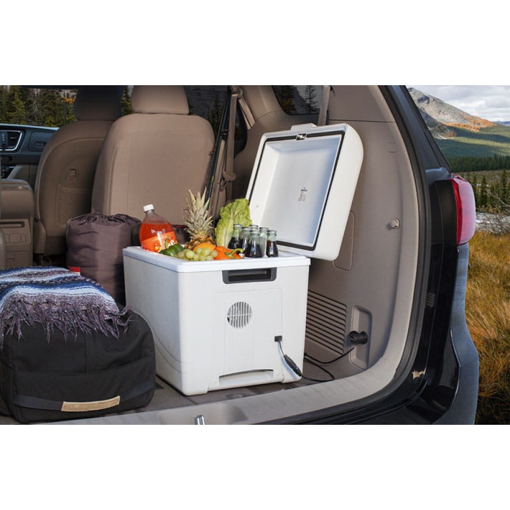 Car refrigerators: main types and main criteria for choosing a device