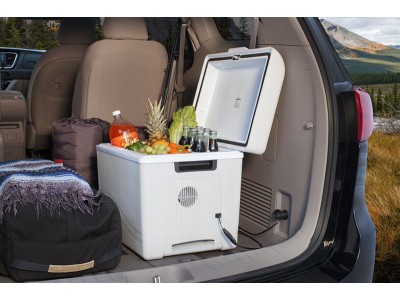 Car refrigerators: main types and main criteria for choosing a device