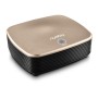 Nobico J007 Car Air Purifier PM 2.5 Negative Ion Car with Oxygen Bar to Remove Formaldehyde(Gold)