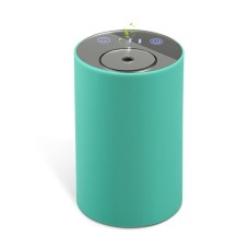 USB Qffice Home Portable Essential Oil Atomizer Car Aromatherapy Machine(Green)
