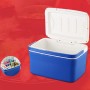 13L Heating and Cooling Box Car Home Mini Refrigerator