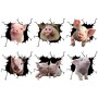 6 in 1 Creative Broken 3D Pig Car Stickers