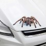 2 ПК творческая личность наклеивание наклейка на кузов CAR CAR CAR (пара пауков)
