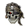 TS-35 10 PCS 3D-симулятор Red Eye Skull Car Car Car