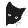 10 PCS CAT FACE PEERING Pet Cat Car Sticker Decals, Size: 12x15cm