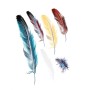 5 Sets Car 3D Feather Body Sticker Scratch Blocking Sticker(Style 1)