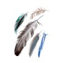 5 Sets Car 3D Feather Body Sticker Scratch Blocking Sticker(Style 2)