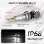 2 PCS 1904 9006 / HB4 DC9-36V / 24W / 6000K / 2400LM IP68 Car LED Headlight Lamps (Cool White)