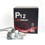 2 PCS P12 DC11-30V 45W 6500K 6500LM Car LED Headlight Lamps for D Series (D1 D2 D3 D4)