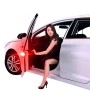 Ladybug Shape Car Door Anti-collision Warning Light (Yellow Light)