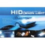 AC9-16V 55W H7 HID Xenon Light High intensity discharge lamp 8000K