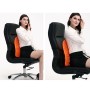 Car Lumbar Support Office Seat Belt Backrest Double Cushion Car Home Massage Lumbar Ice Silk Pillow (Black)