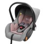 Car Newborn Safety Seat Portable Cradle for Baby Outing (Grey)