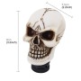 Universal Skull Head Shape ABS Manual or Automatic Gear Shift Knob  with Three Rubber Covers Fit for All Car(White)