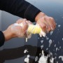 Мода PVA Sponge Car Kitchen Magic Clean Crin Crash (случайная доставка цвета)
