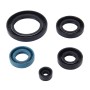 5 PCS Motorcycle Rubber Engine Oil Seal Kit for ZJ125