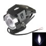 U5 125W 3000LM Led Cree White Light White Light Paterpronage IP67.