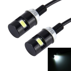 2 PCS 1W 100lm 1-SMD 5630 LED White Light Car / Motorcycle License Plate Screw Lamp