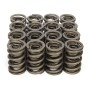 16 в 1 CAR Pealhive Exceded Walve Springs Kit PAC-1218 для всех двигателей LS 600