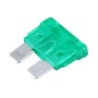 100 PCS Auto Mini Blade Fuse (30A), DC 12V(Green)